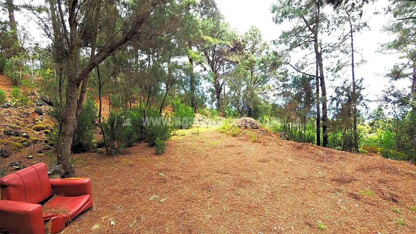 Terreni e lotti in vendita a La Guancha, imagen 10