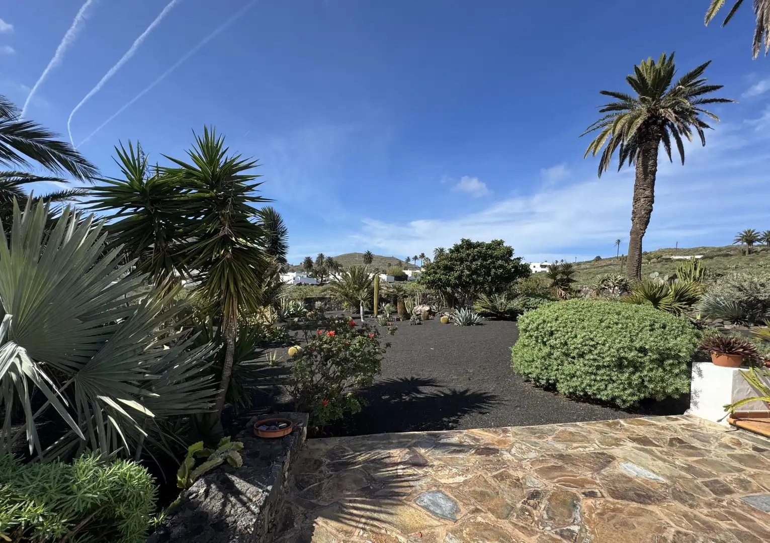 Jardín de Casa o chalet en venta en Haría con Jardín privado y Amueblado