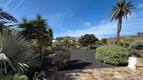 Foto 5 de Casa o xalet en venda a Haría pueblo, Haría