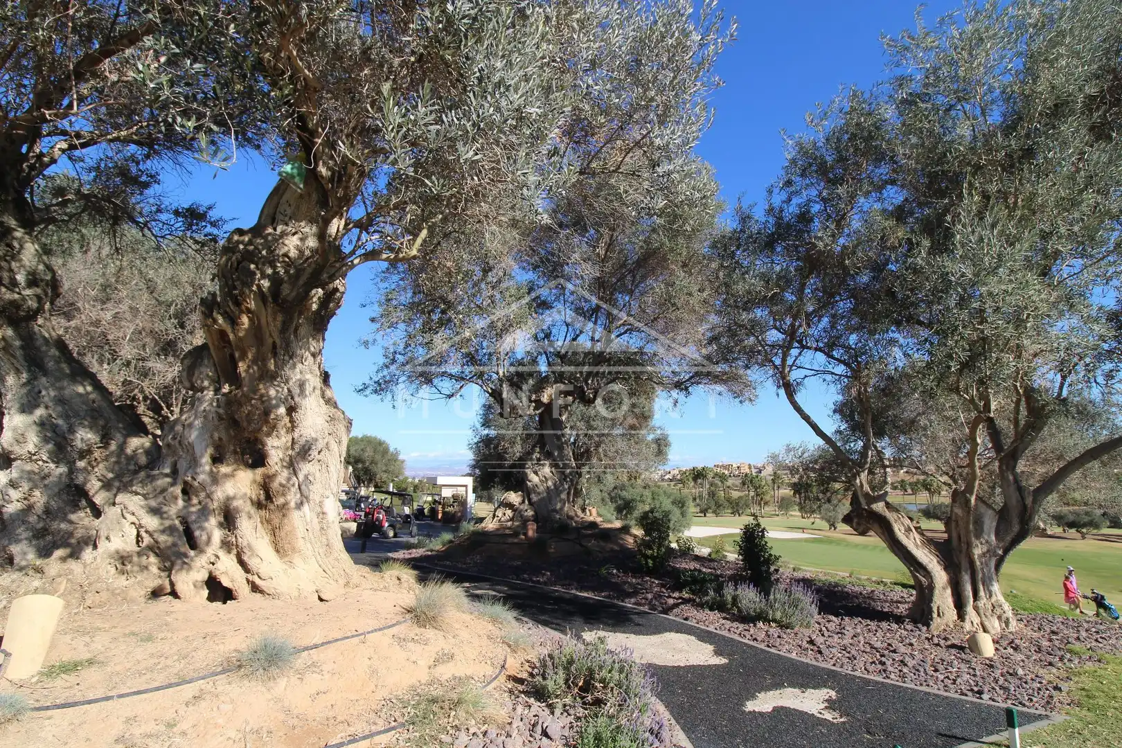House with pool for sale in Algorfa, imagen 36