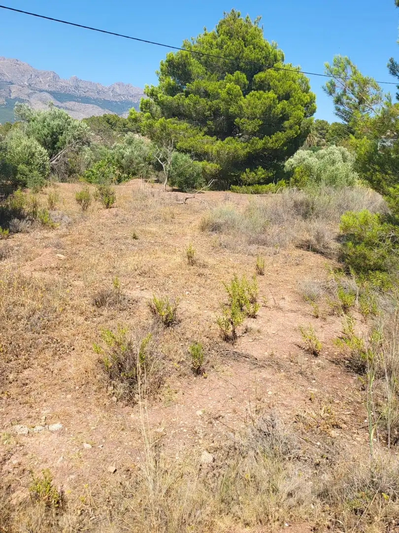 Terreny residencial en venda a San Rafael - Nucia Park, imagen 7