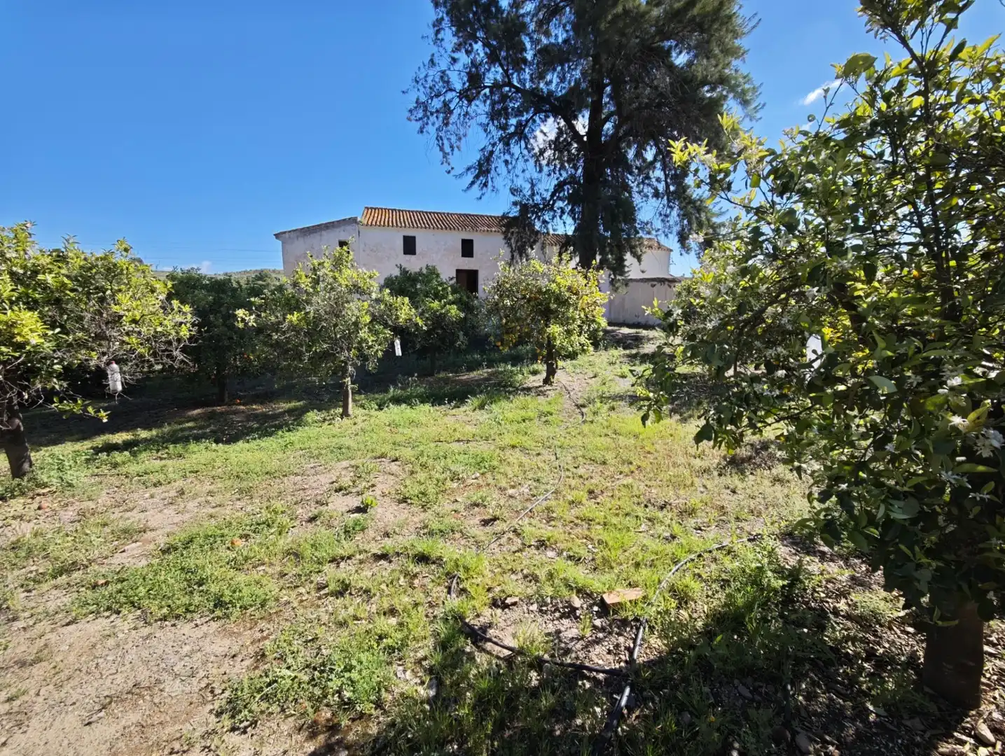 Finca rústica en venda en Cártama
