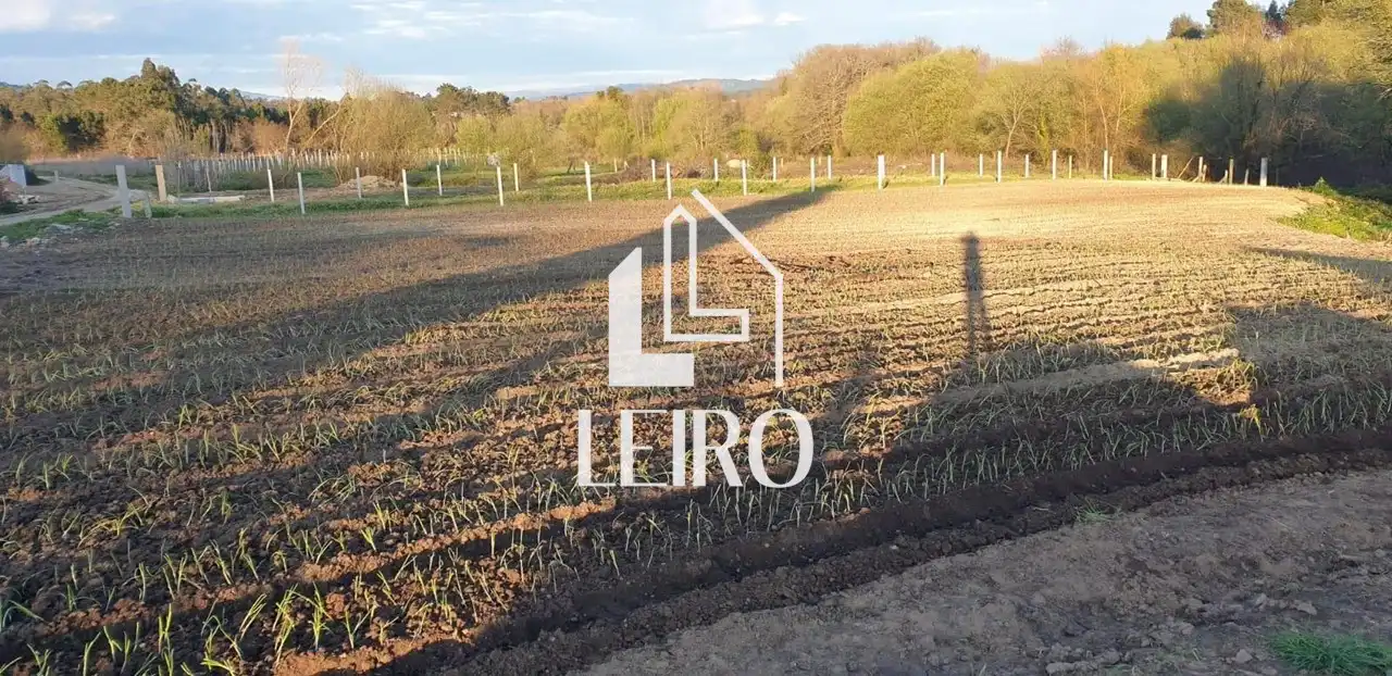 Terreno rustico in vendita a Vilanova de Arousa, imagen 3