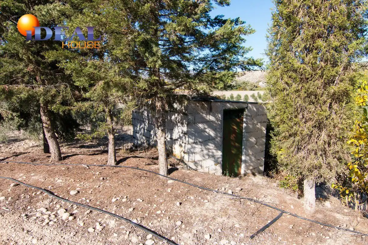 Villa con piscina in vendita a Camino La Caras de Cacín, polígono 5 parcelas 14, 15 y, imagen 31