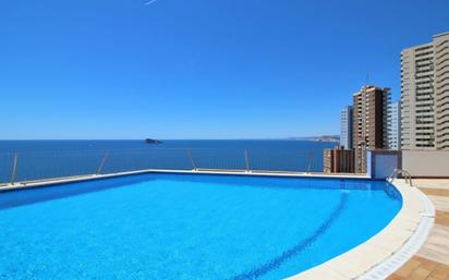 Swimming pool of Apartment for sale in Benidorm  with Air Conditioner, Terrace and Balcony