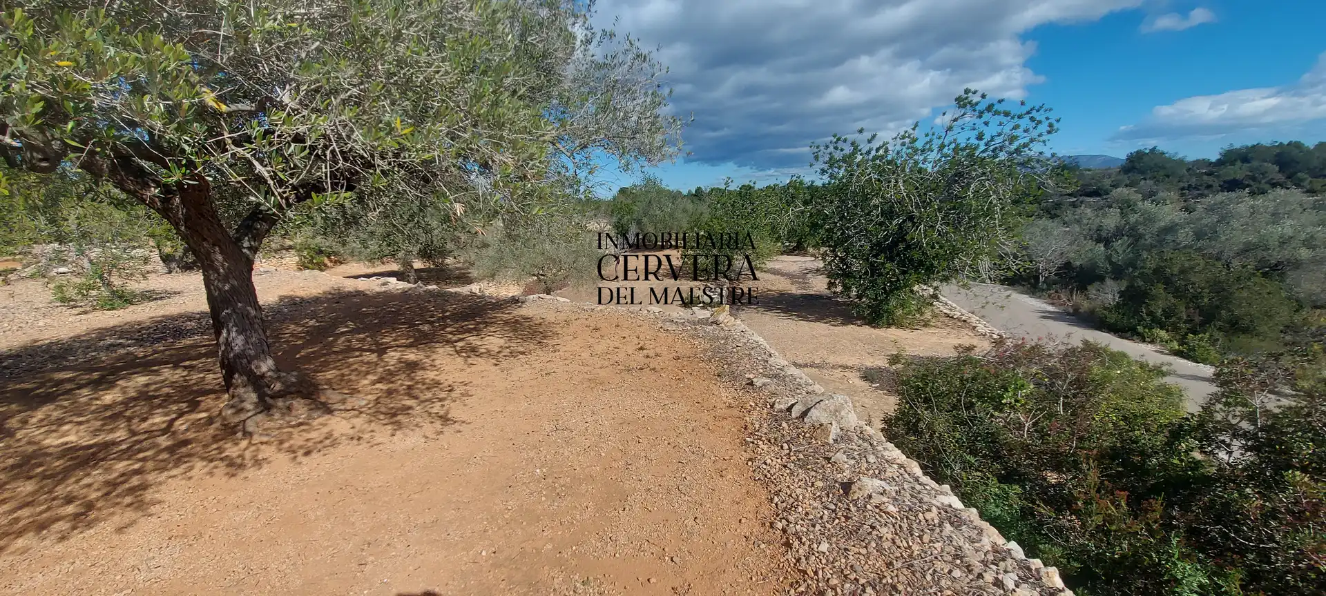 Terreno rustico in vendita a Partidas de interior - Zona Rústica, imagen 19