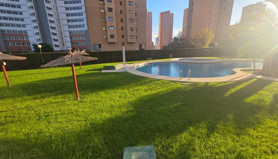 Photo 1 of Flat for sale in Juzgados - Plaza de Toros, Alicante