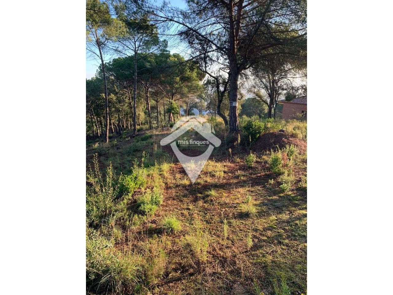 Terreny industrial en venda en Fogars de la Selva