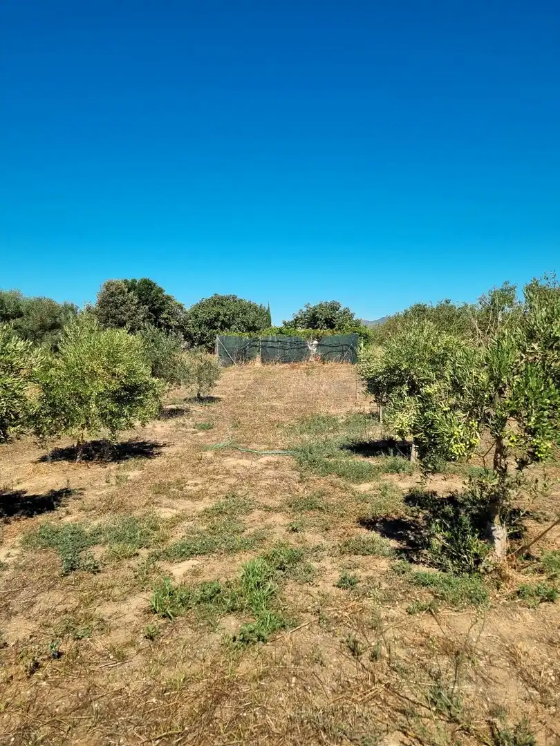 Lands and plots for sale in poligono 17 parcela 32, imagen 23