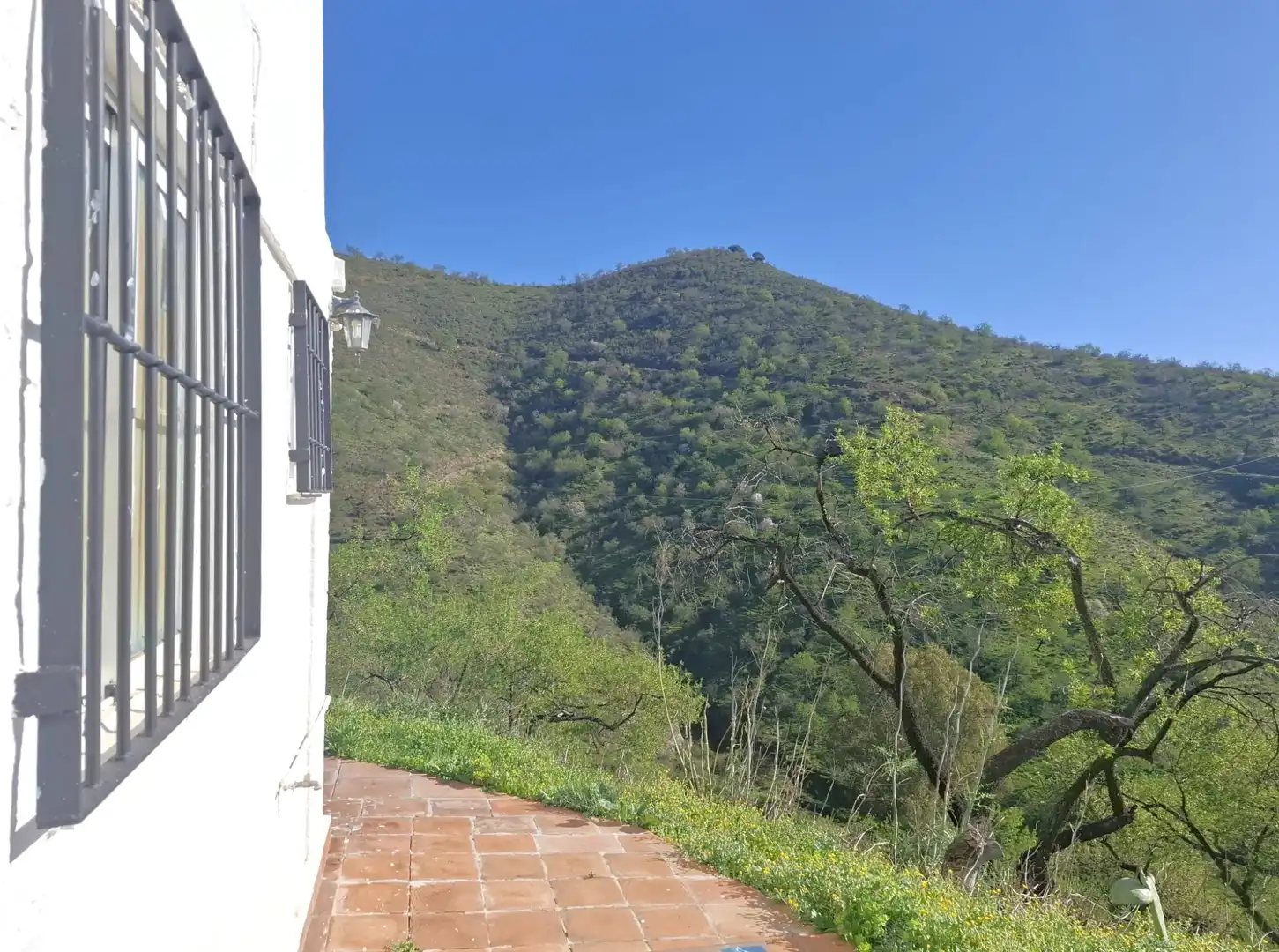 Vista exterior de Finca rústica en venta en Colmenar