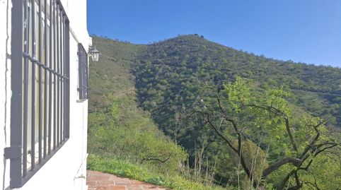 Foto 3 de Finca rústica en venta en N/a, -1, Colmenar, Málaga
