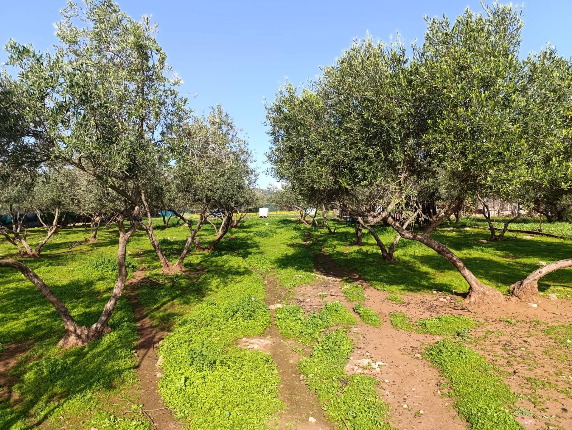 House or chalet for sale in Lora del Río  with Air Conditioner, Heating and Private garden
