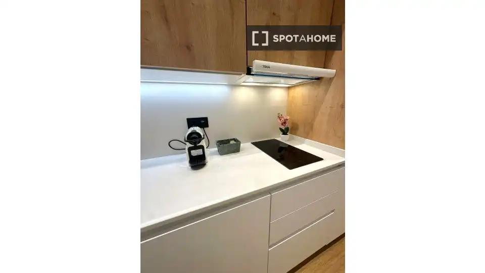 Appartement avec terrasse à louer à Centro, imagen 13