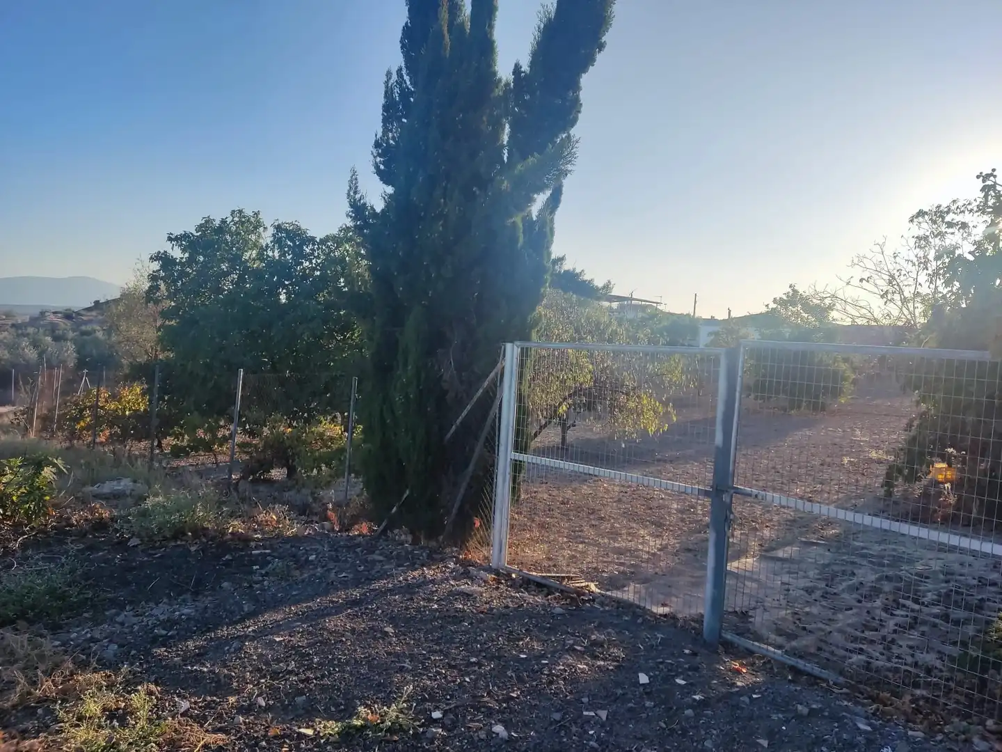 Terreni e lotti in vendita a Mengíbar, imagen 3