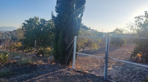 Se vende parcela con escrituras, luz, agua potable y de riego., imagen 3