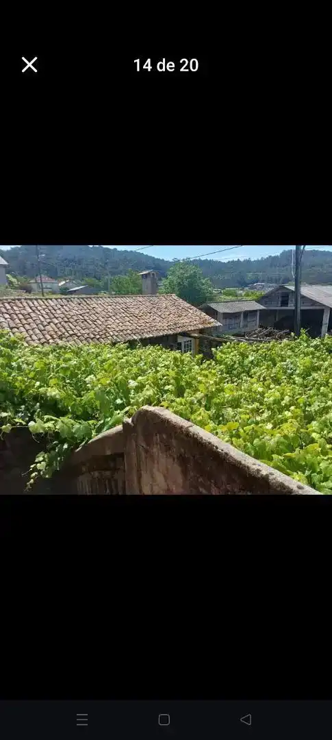Vista exterior de Finca rústica en venda en Portas