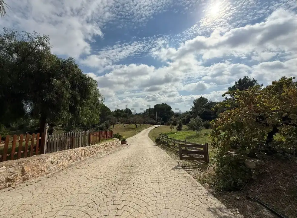 Country house with terrace for sale in Almoster, imagen 53