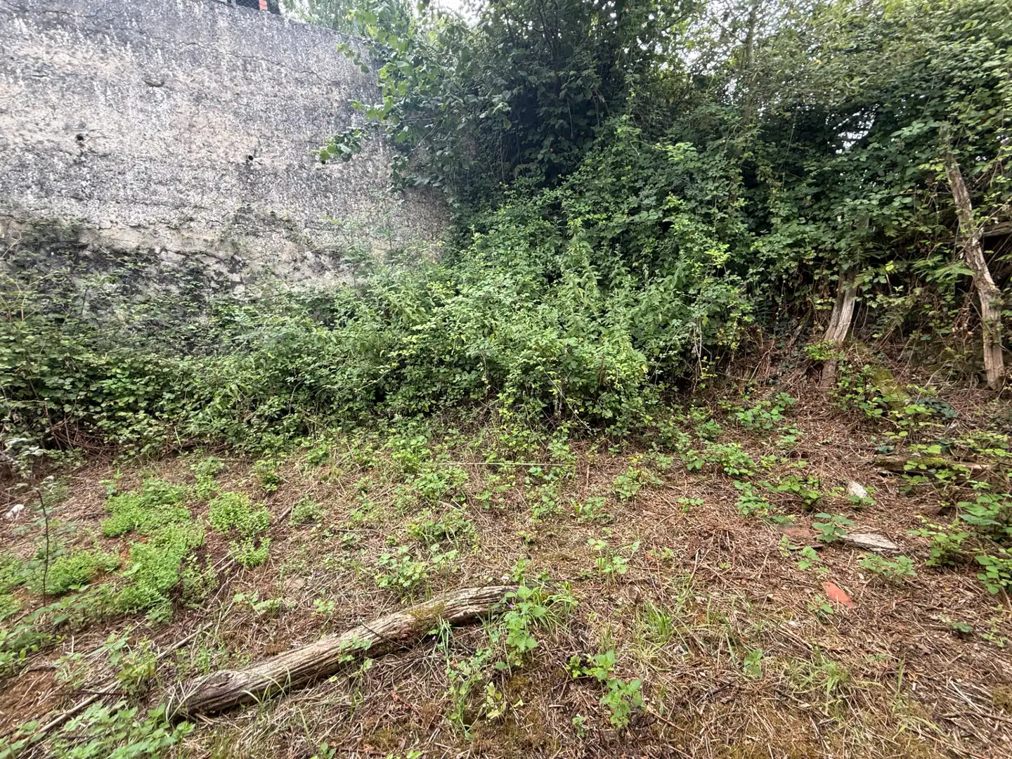 Casa o xalet en venda en Lena