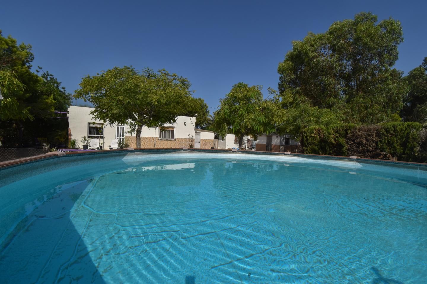 Piscina de Finca rústica en venda en Elche / Elx amb Jardí privat i Piscina
