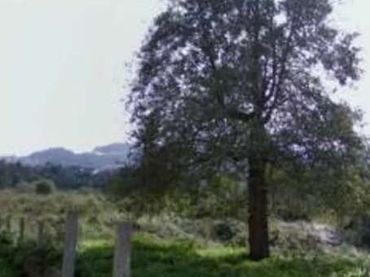 Terreny residencial en venda a DEVESA SARDOMA 4