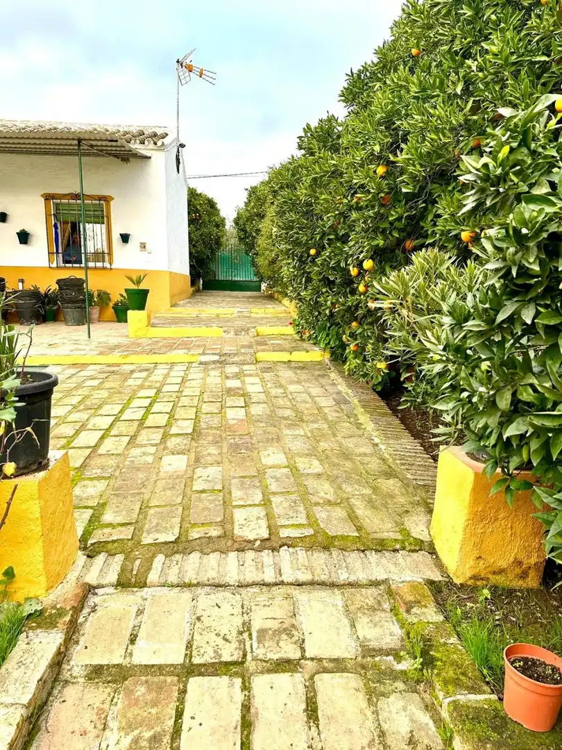 Haus mit Pool zum Verkauf in Almodóvar del Río, imagen 19