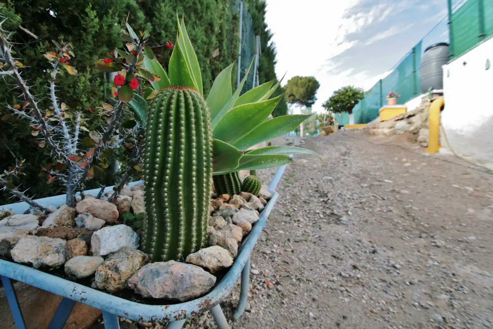 Garden of Houses for sale in Níjar  with Air Conditioner, Private garden and Terrace