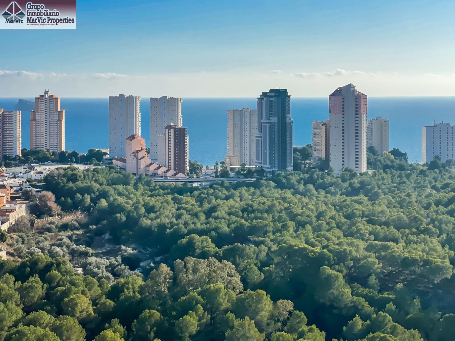 Vista exterior de Apartament en venda en Benidorm amb Jardí privat i Terrassa