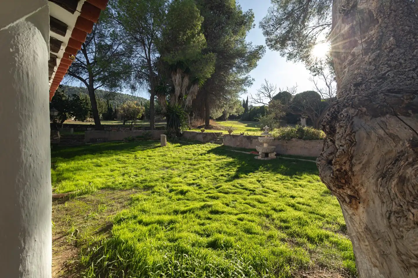 Casa con jardín en venta en Calvario 46, imagen 17