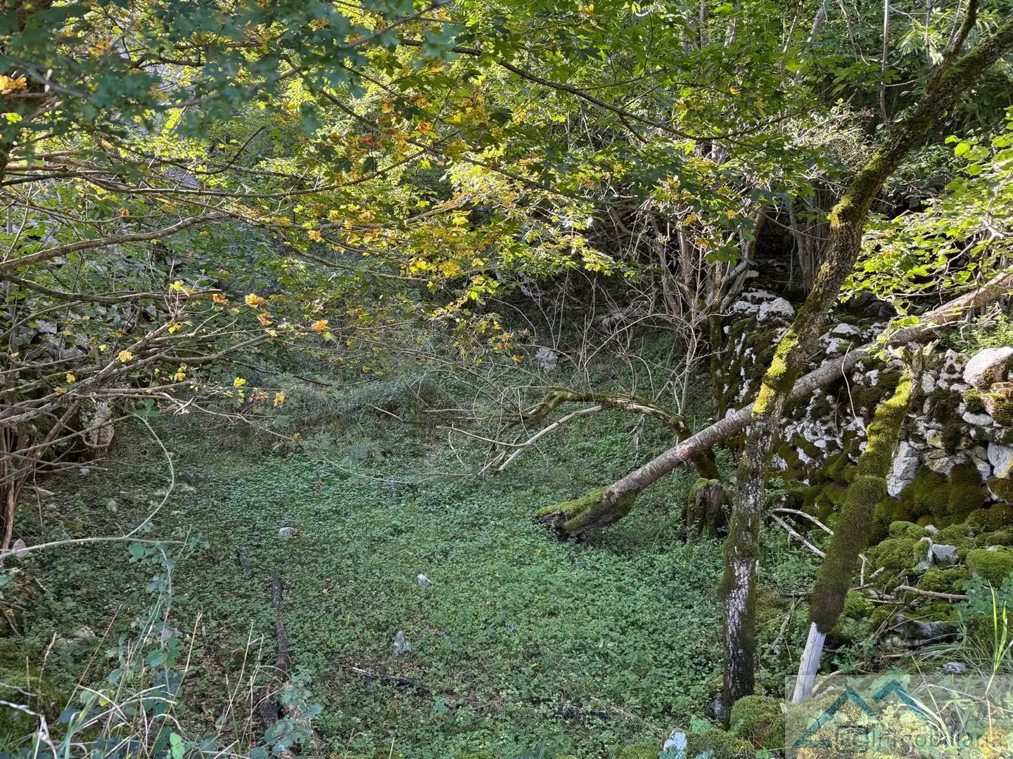 Finca rústica en venta en Ruesga