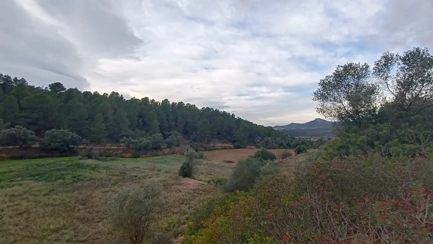 Terreno en venta en Móra la Nova