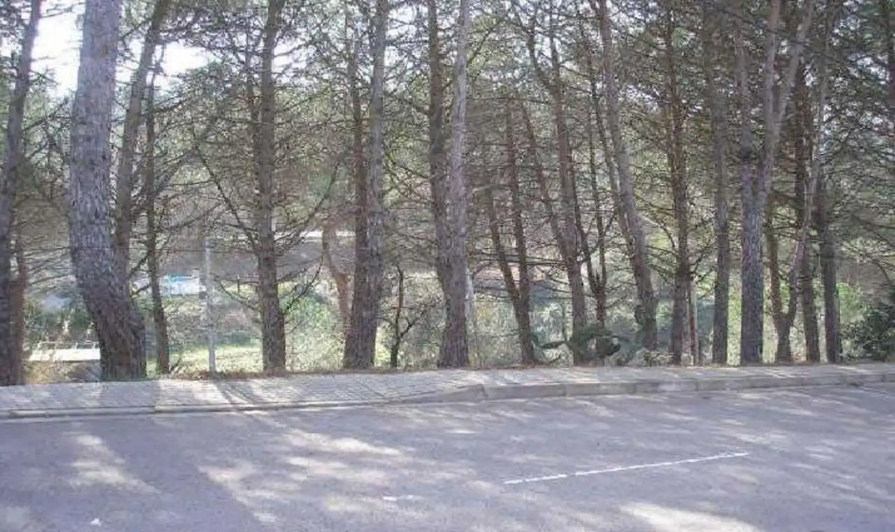 Residential land for sale in Calle Avet