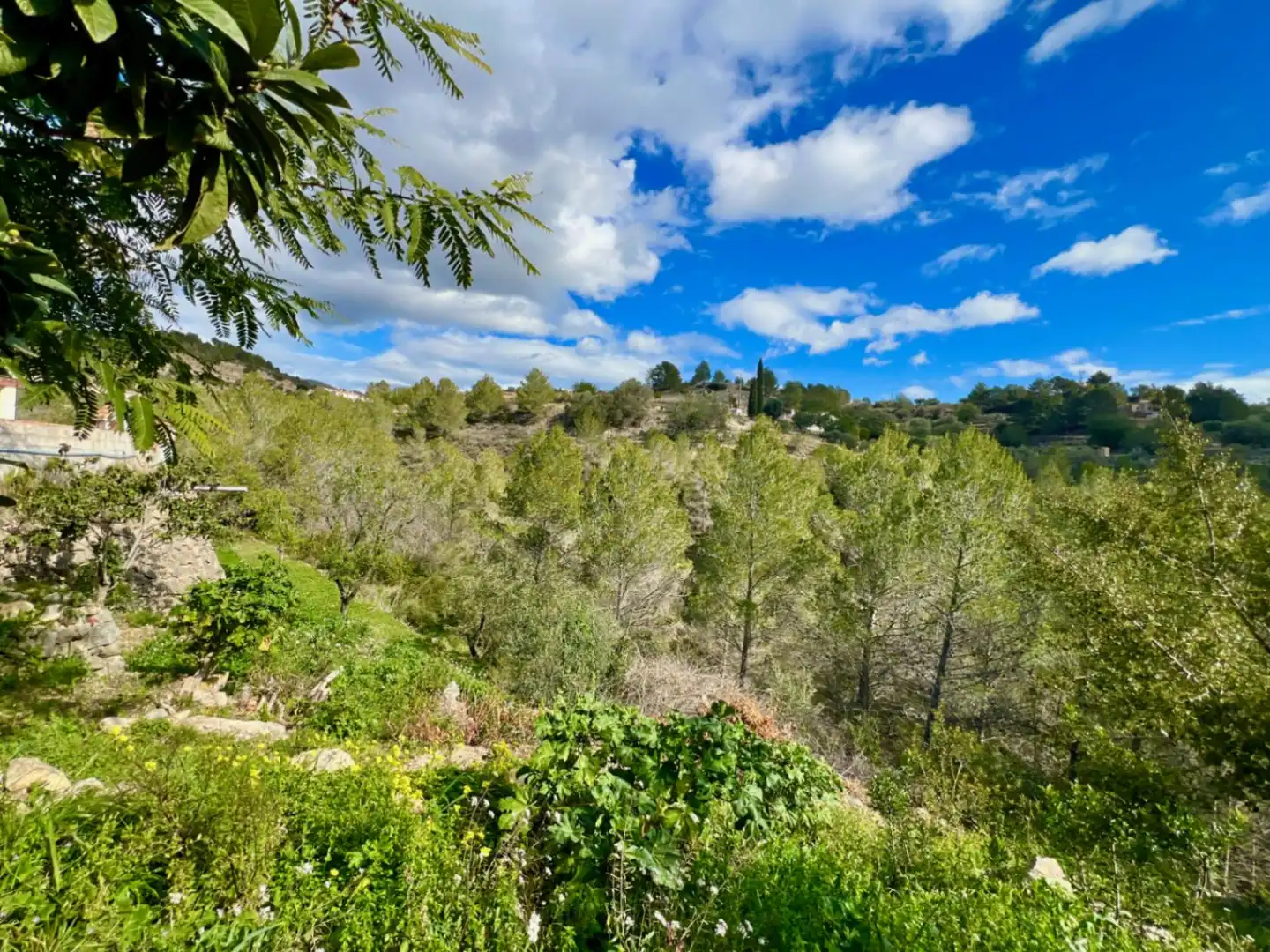 Maison rustique avec jardin à vendre à Benissa pueblo, imagen 5