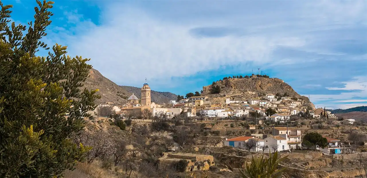 Vista exterior de Casa o xalet en venda en Oria amb Calefacció, Jardí privat i Piscina