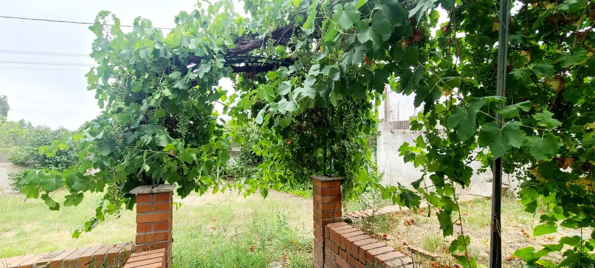 Jardí de Casa o xalet en venda en Villaviciosa de Odón