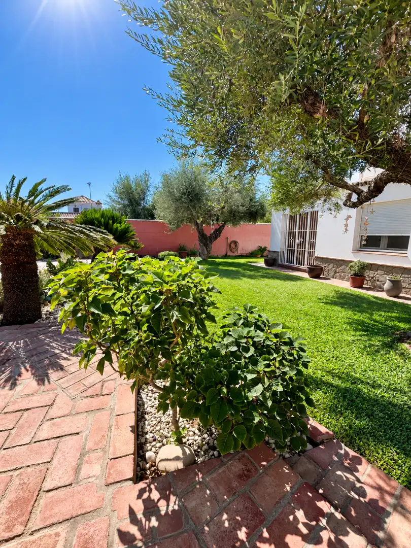 Detached house with pool for sale in Arcos de la Frontera, imagen 42