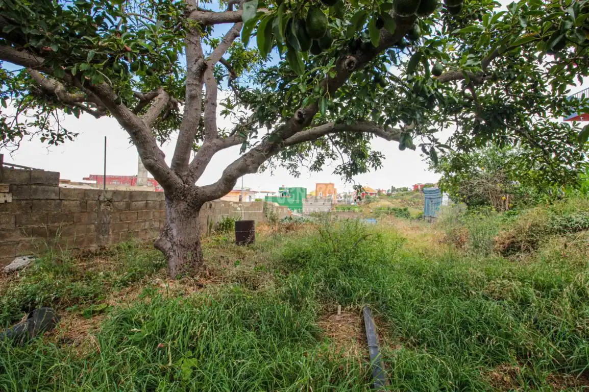 Terreno residencial en venta en El Sauzal, imagen 10