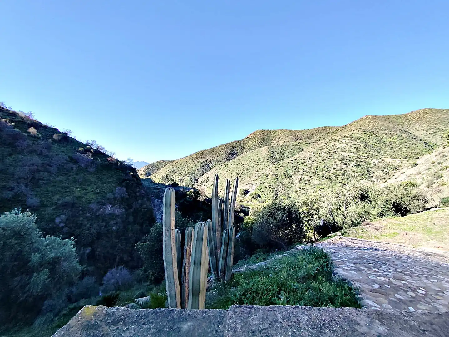 Vista exterior de Finca rústica en venda en Pizarra amb Terrassa