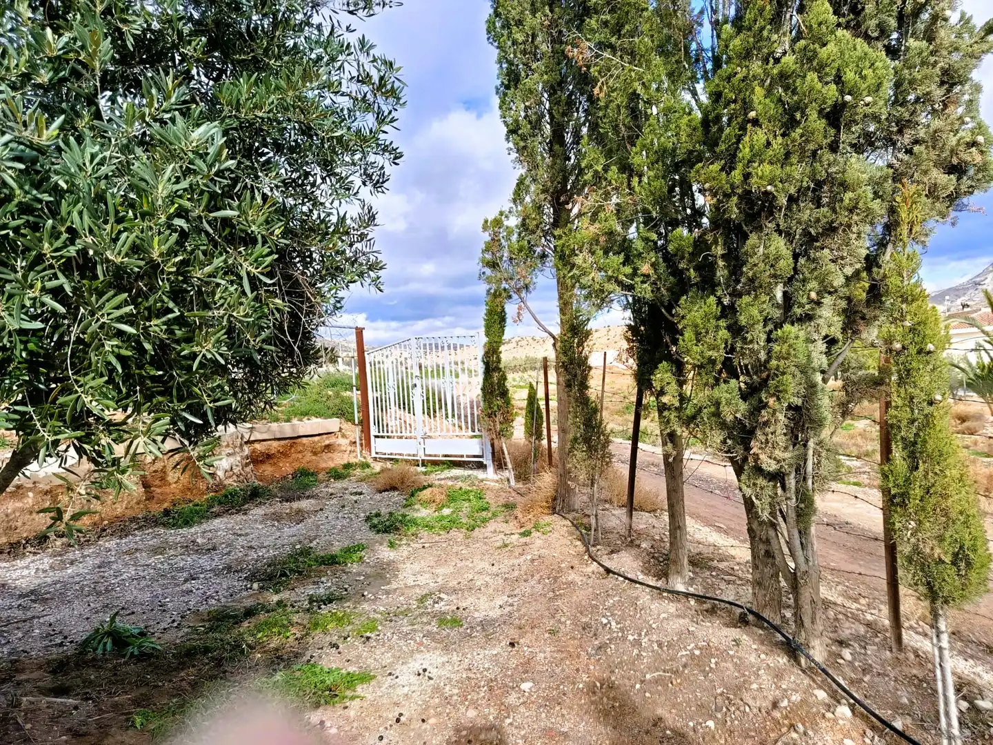 Finca rústica en venta en Novelda con Terraza