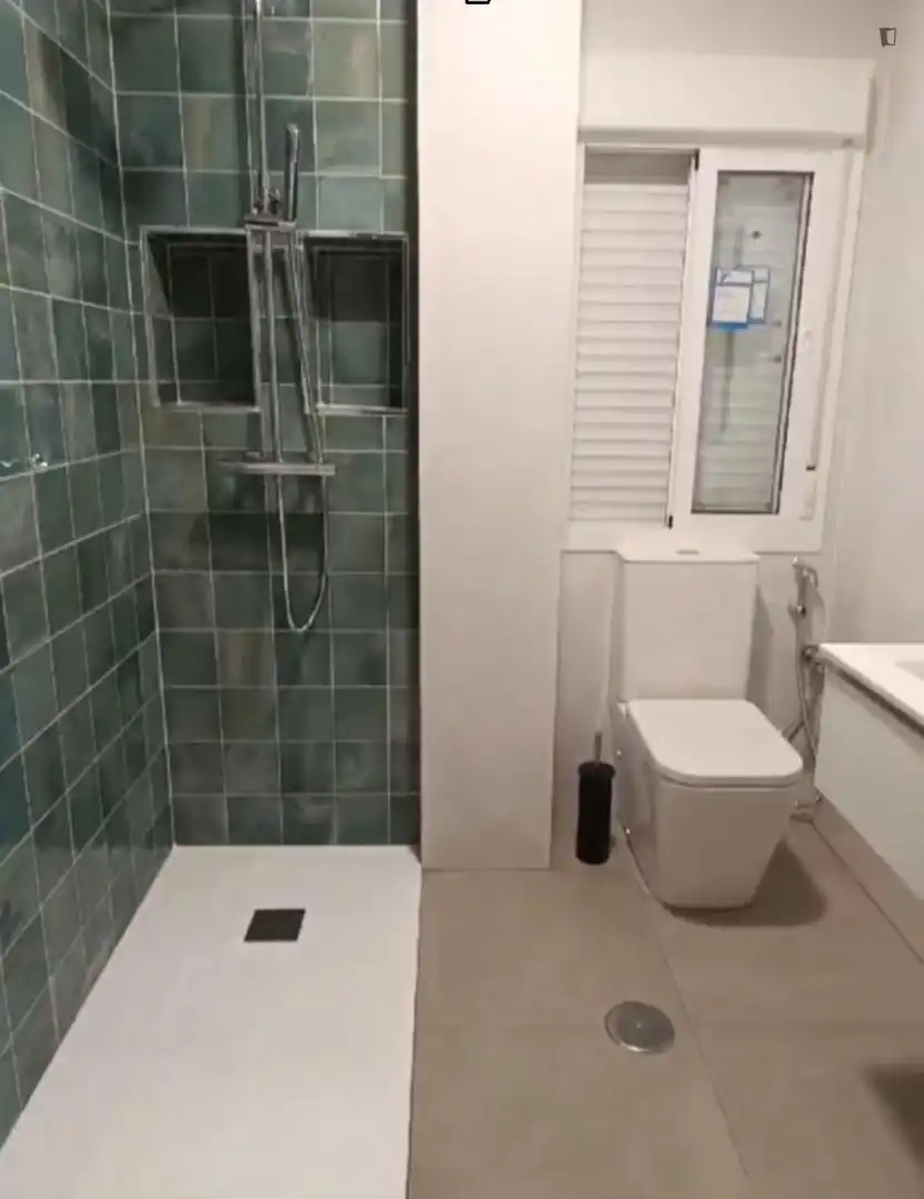Bathroom of Apartments for share in Sevilla  with Furnished, Washing machine and Internet