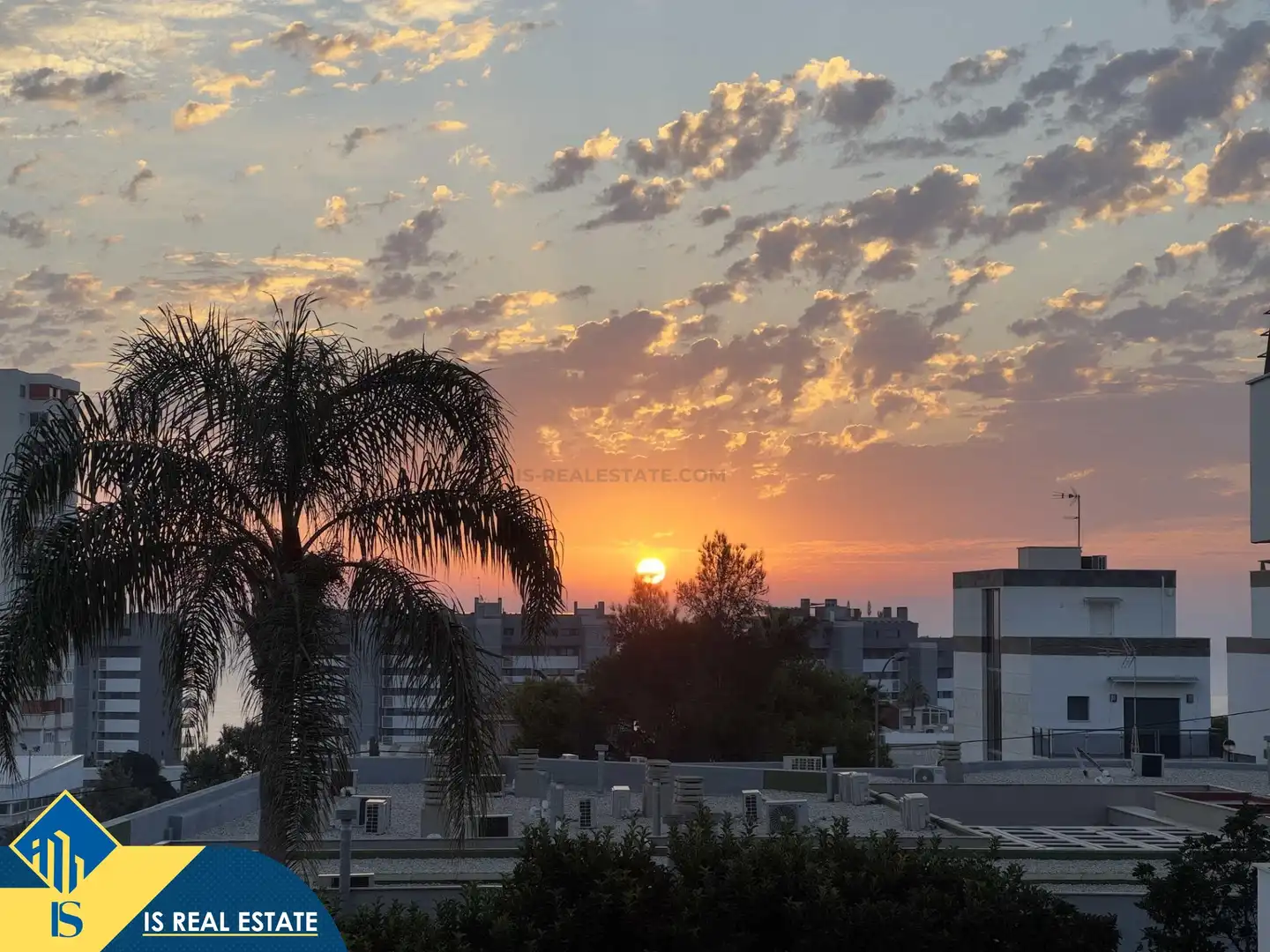 Vista exterior de Casa o xalet en venda en Alicante / Alacant amb Terrassa, Piscina i Moblat