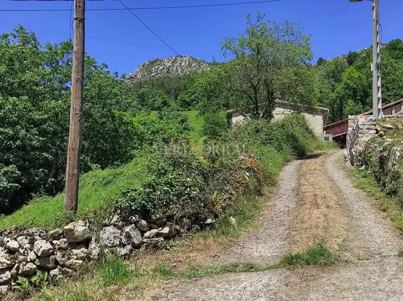 Terreno residencial en venta en Collía, imagen 5