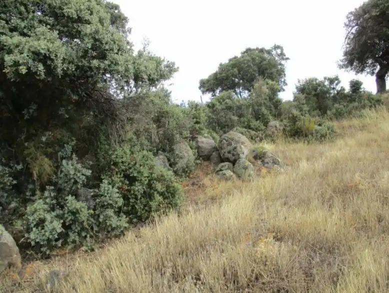 Land for sale in Puente del Congosto