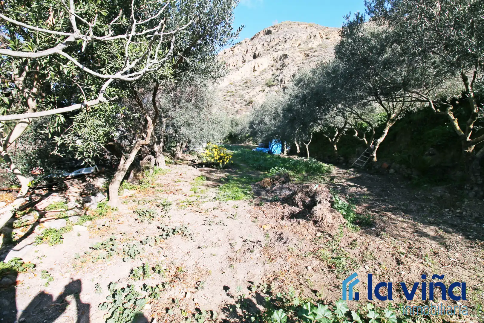 Casa o chalet en venta en Nívar con Trastero y Amueblado