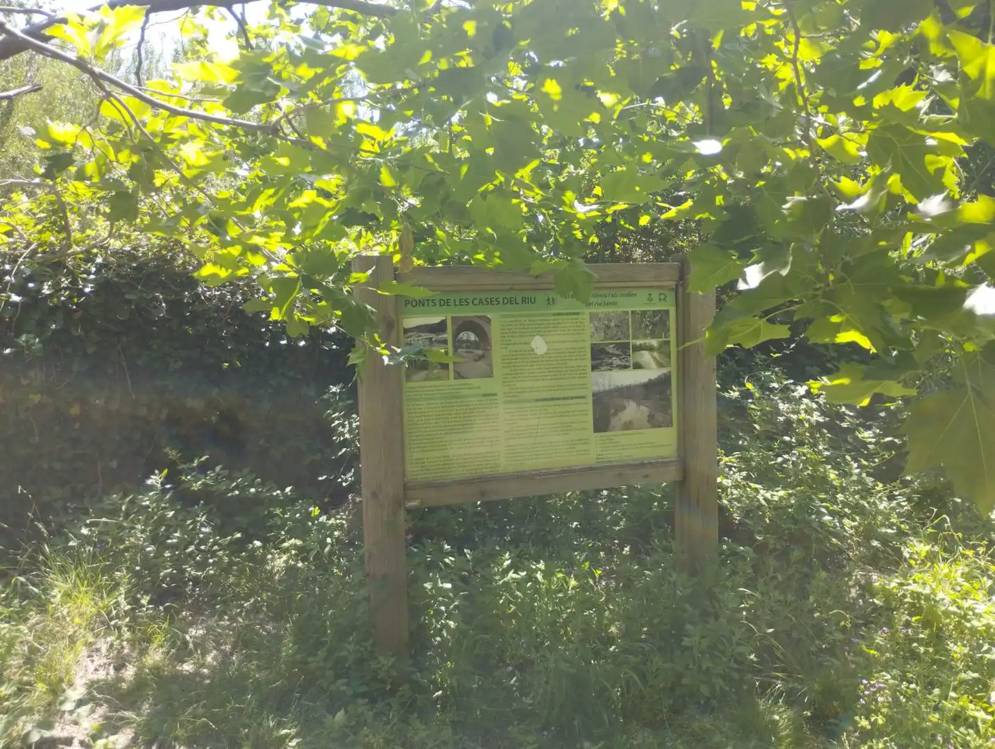 Garten von Gebäude zum Verkauf in Rossell