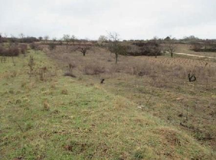 Land for sale in Covarrubias