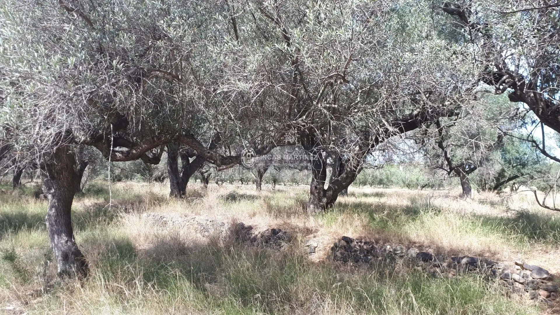 Terrenys i solars en venda a partida guardamá o Emprius  riera de Alforja con carretera del parque samá, imagen 5