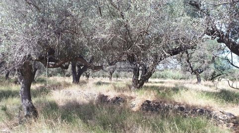 Foto 5 de Residencial en venta en Partida Guardamá O Emprius Riera de Alforja con C, Cambrils Port, Cambrils