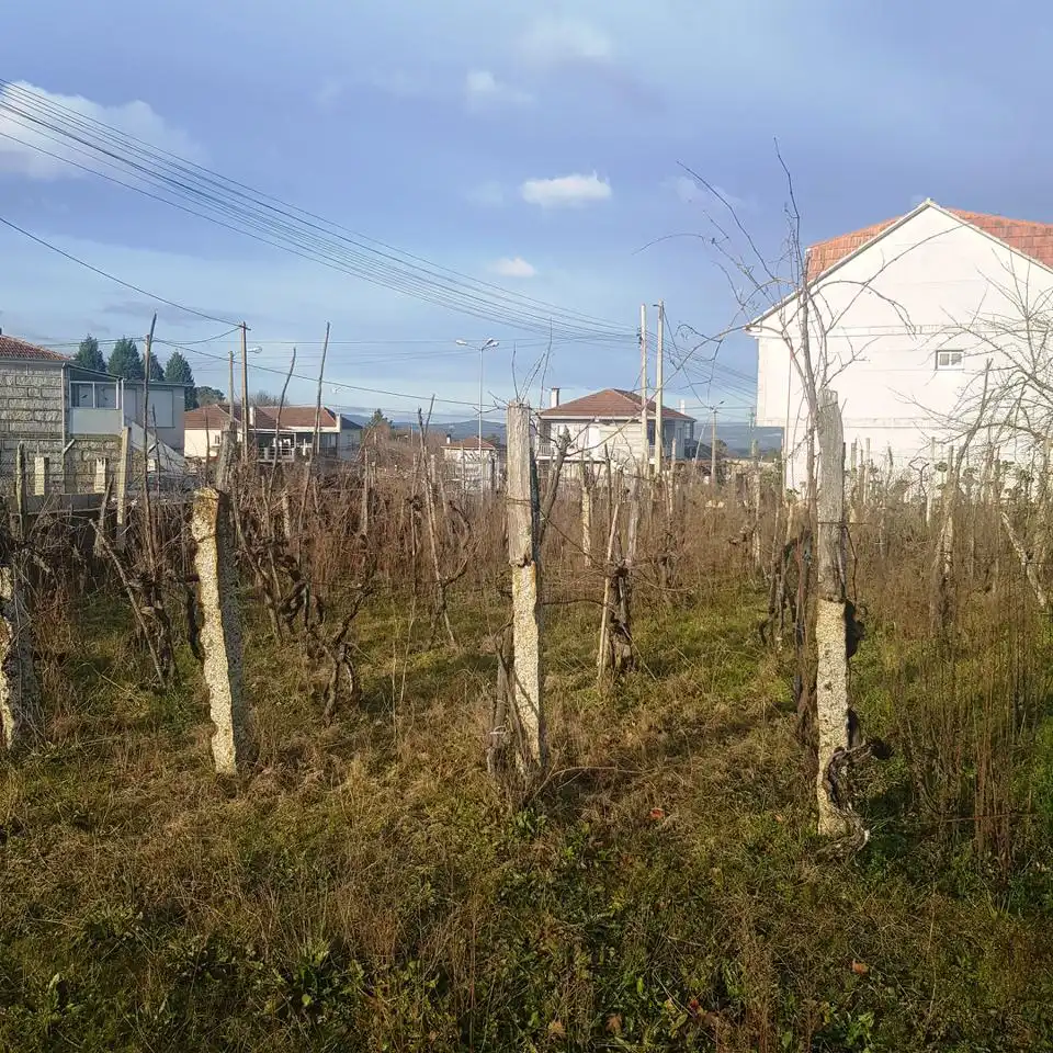 Terreni e lotti in vendita a Vilanova Estrada de Penedo, imagen 5