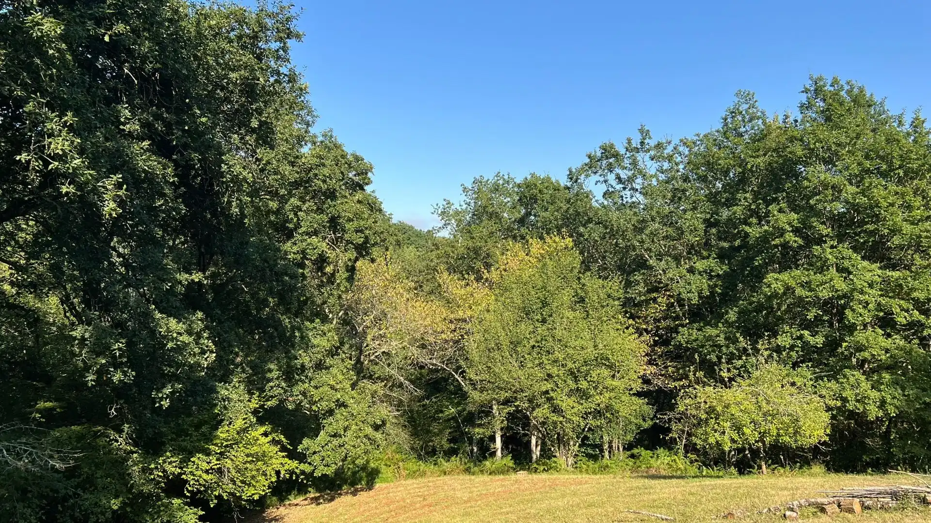 Terreno en venta en Parres
