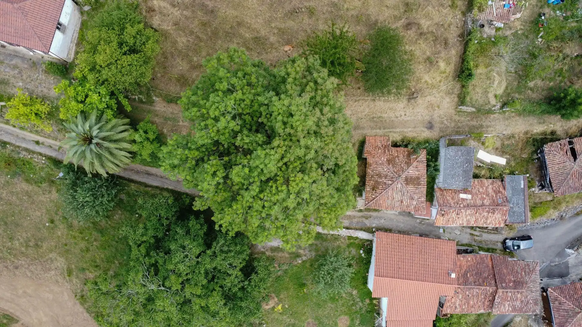 Country house zum Verkauf in Oviedo 